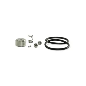 Check Valve Repair Kit WSI