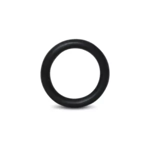Inlet O-ring